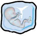 Baby on Hold
